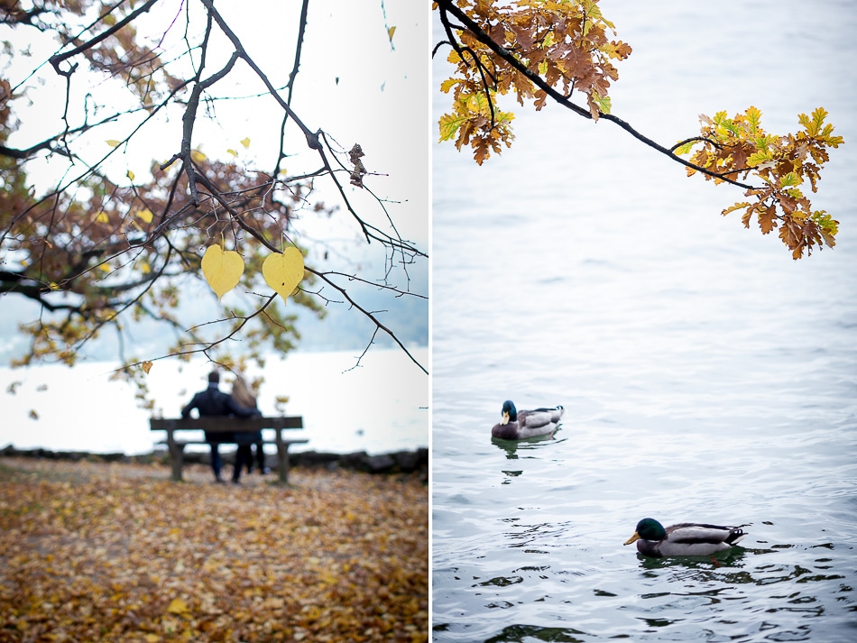 verlobungsfotos-traunsee-hj-039