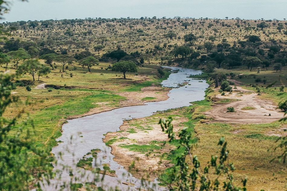 afrika-kenia-tansania-sansibar-safari-061