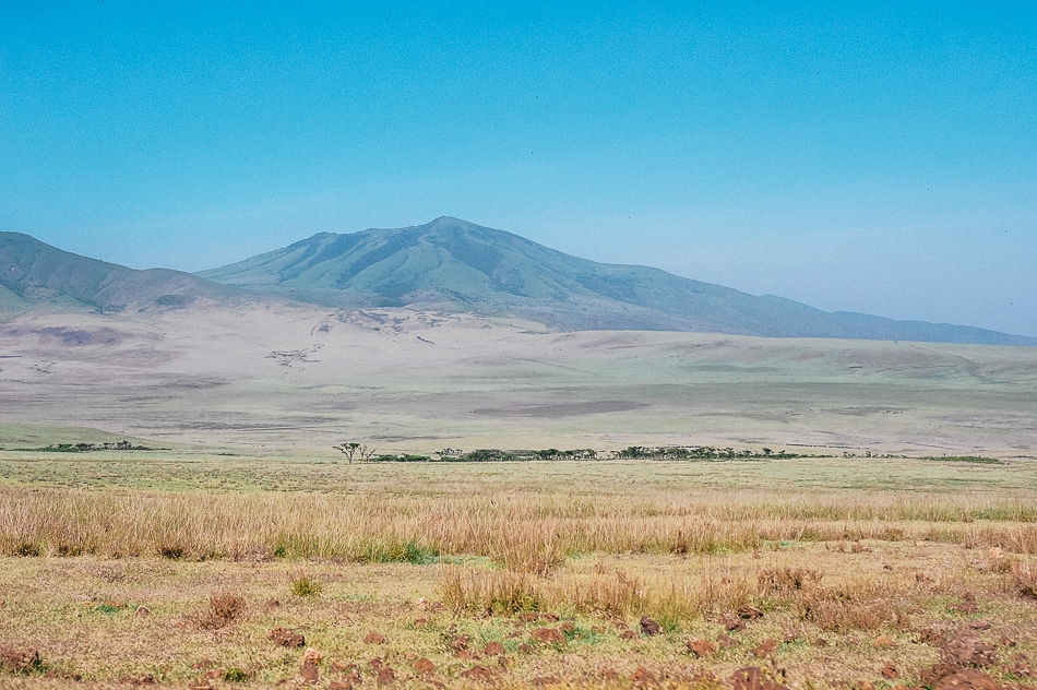 afrika-kenia-tansania-sansibar-safari-076