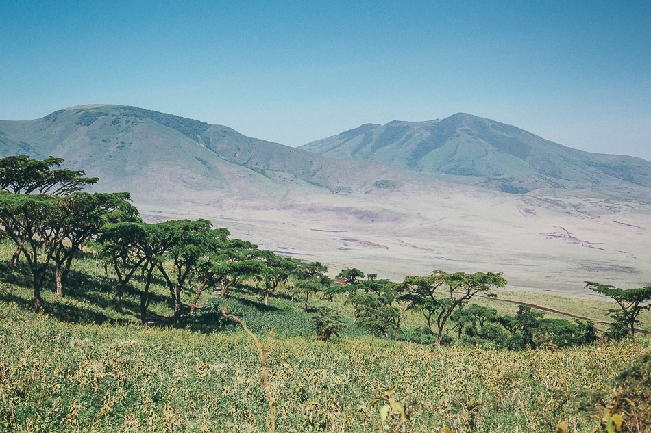 afrika-kenia-tansania-sansibar-safari-077