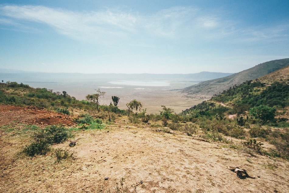 afrika-kenia-tansania-sansibar-safari-079