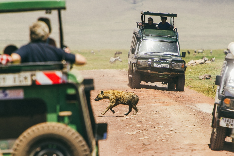 afrika-kenia-tansania-sansibar-safari-082