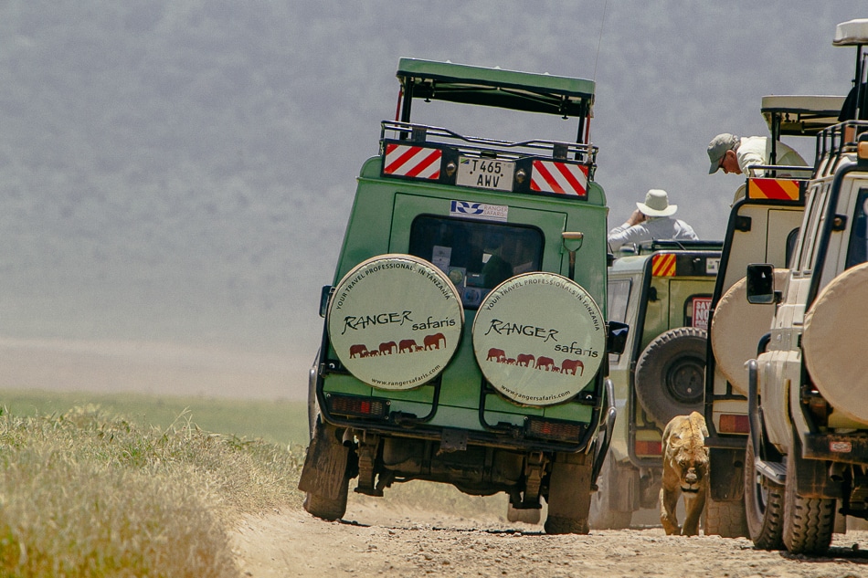 afrika-kenia-tansania-sansibar-safari-084