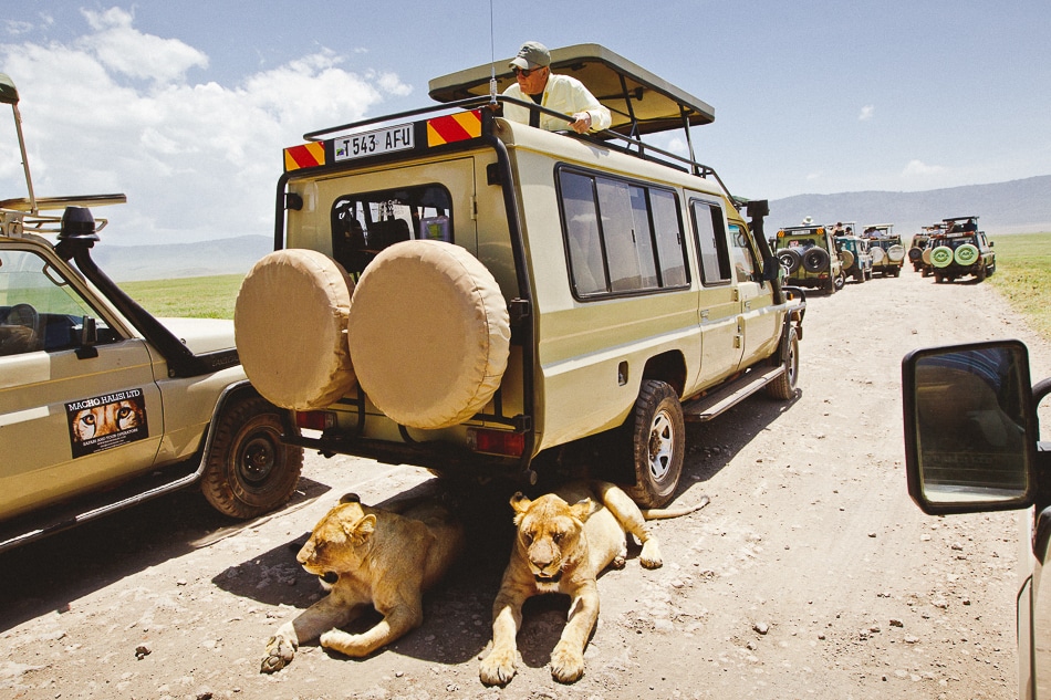 afrika-kenia-tansania-sansibar-safari-087