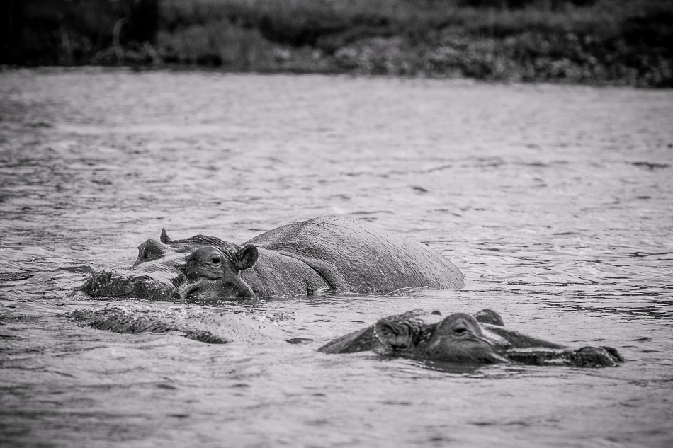 afrika-kenia-tansania-sansibar-safari-089