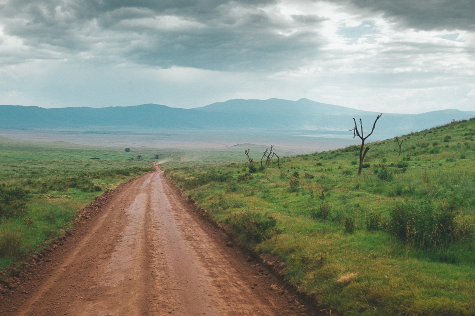 afrika-kenia-tansania-sansibar-safari-092