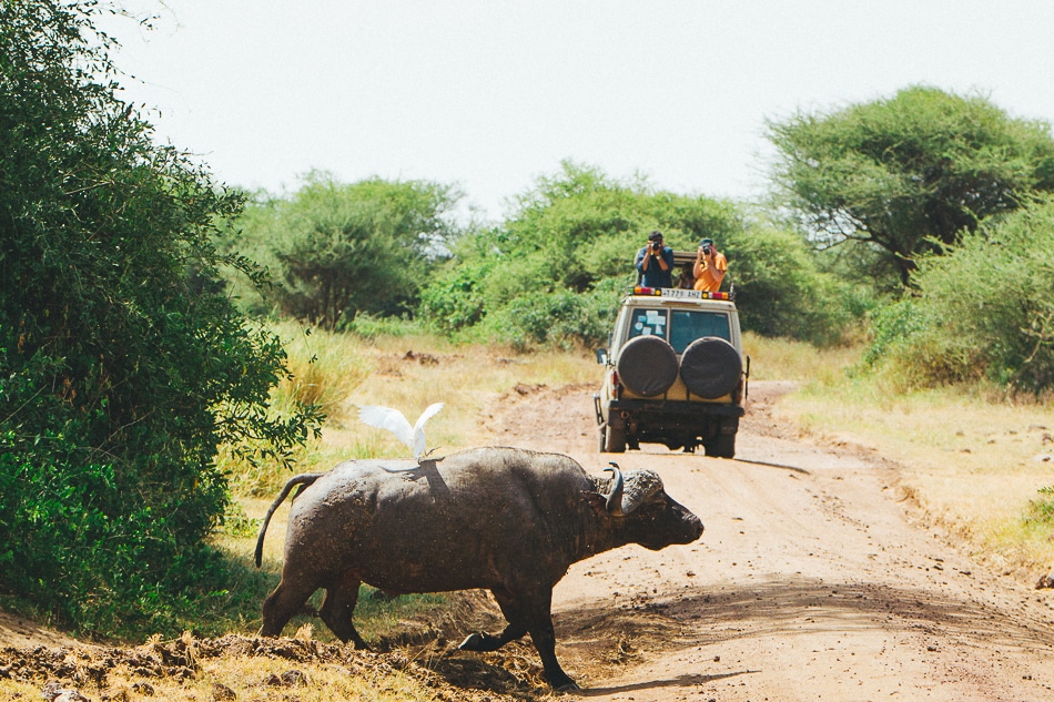 afrika-kenia-tansania-sansibar-safari-102