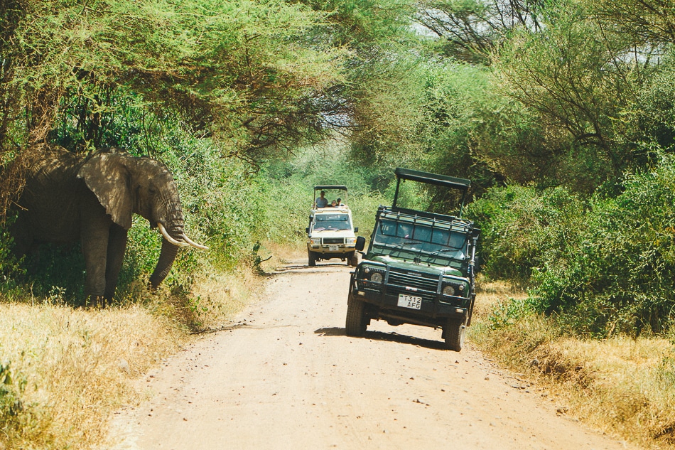 afrika-kenia-tansania-sansibar-safari-103